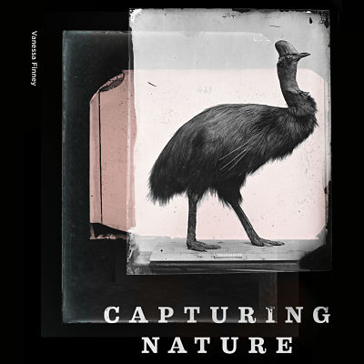 Coffee Table: Capturing Nature
