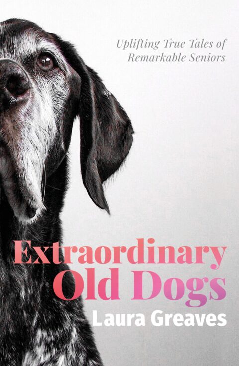 Q&A: Extraordinary Old Dogs by Laura Greaves