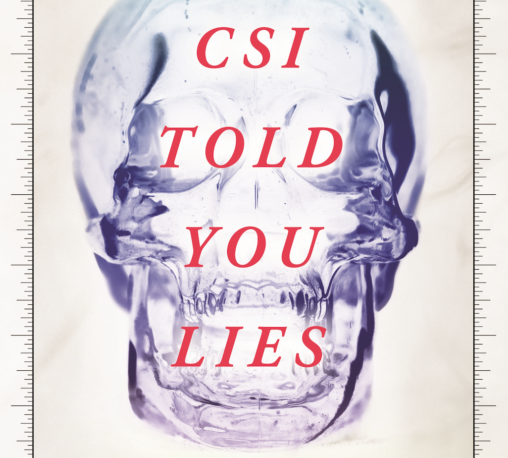 CSI Told You Lies by Meshel Laurie
