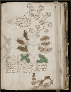 Voynich Manuscript