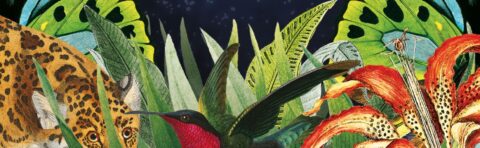 New & Notable Fiction in May 2022