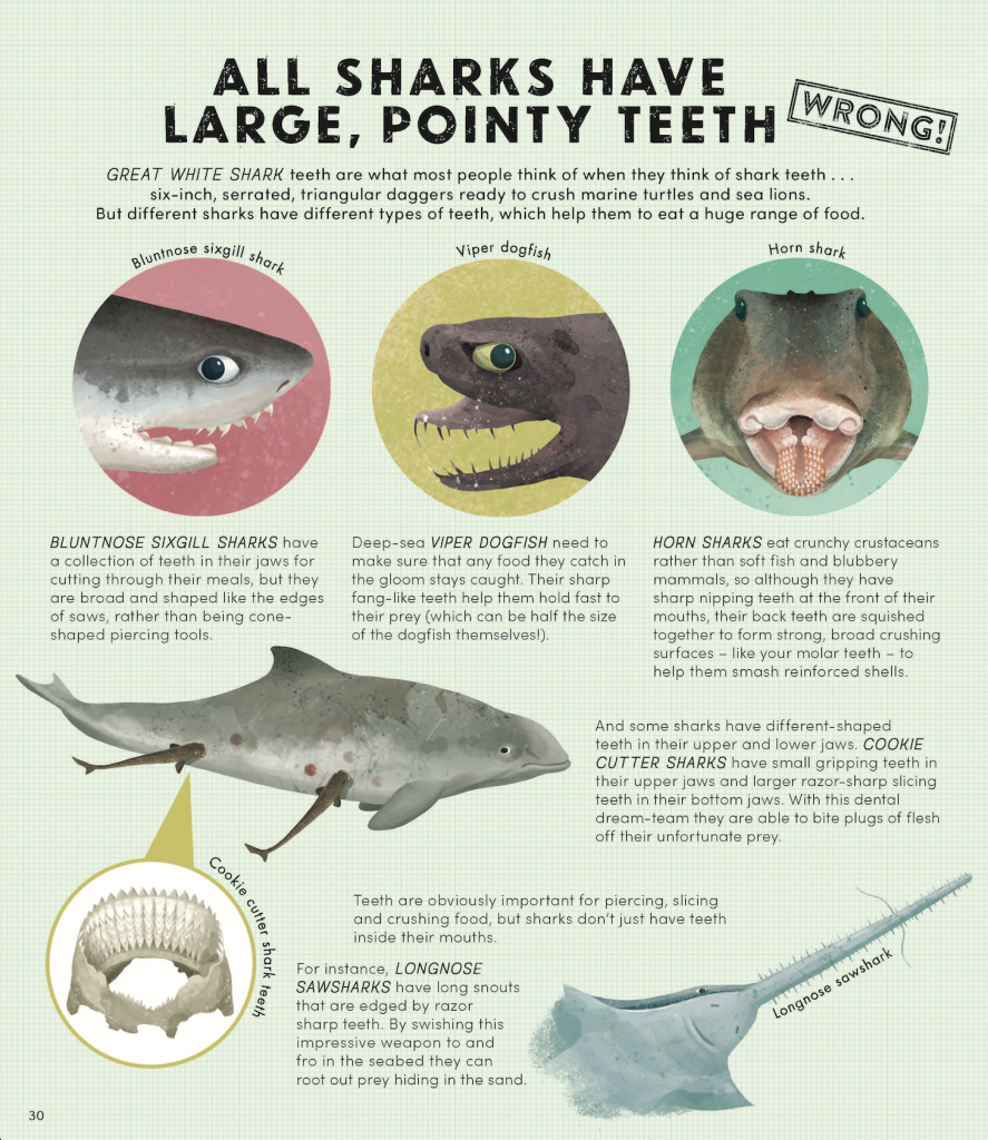Everything You Know About Sharks is Wrong extract 1