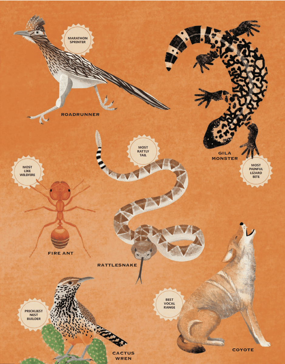 The Wildlife Compendium of the World - Desert