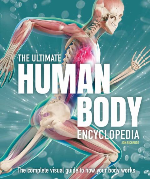 The Ultimate Human Body