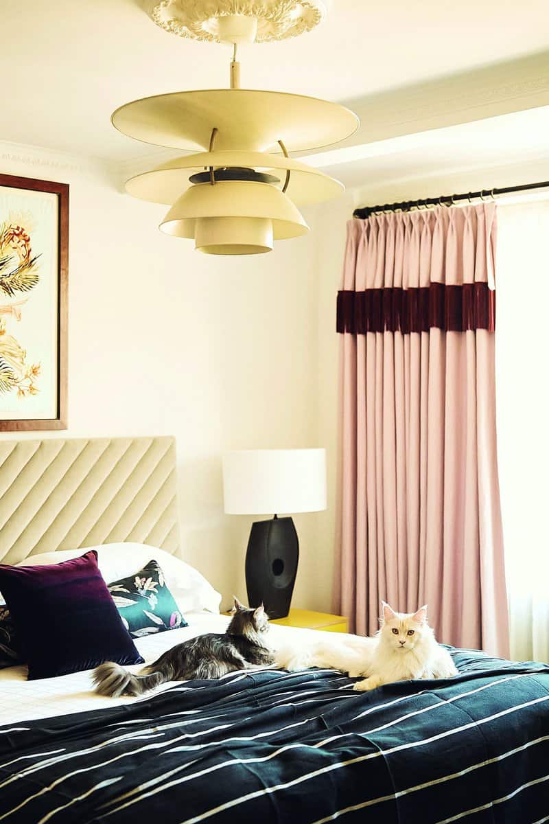 House cat by Paul barber