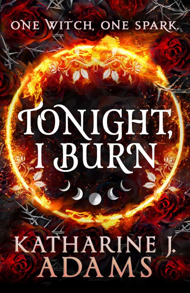 t=Tonight I Burn by Katharine J Adams