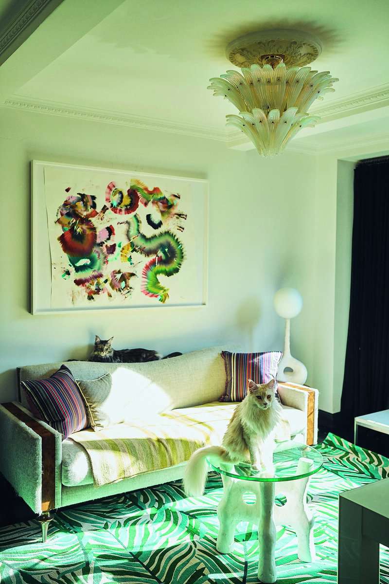 House Cat by Paul Barbara internal 3