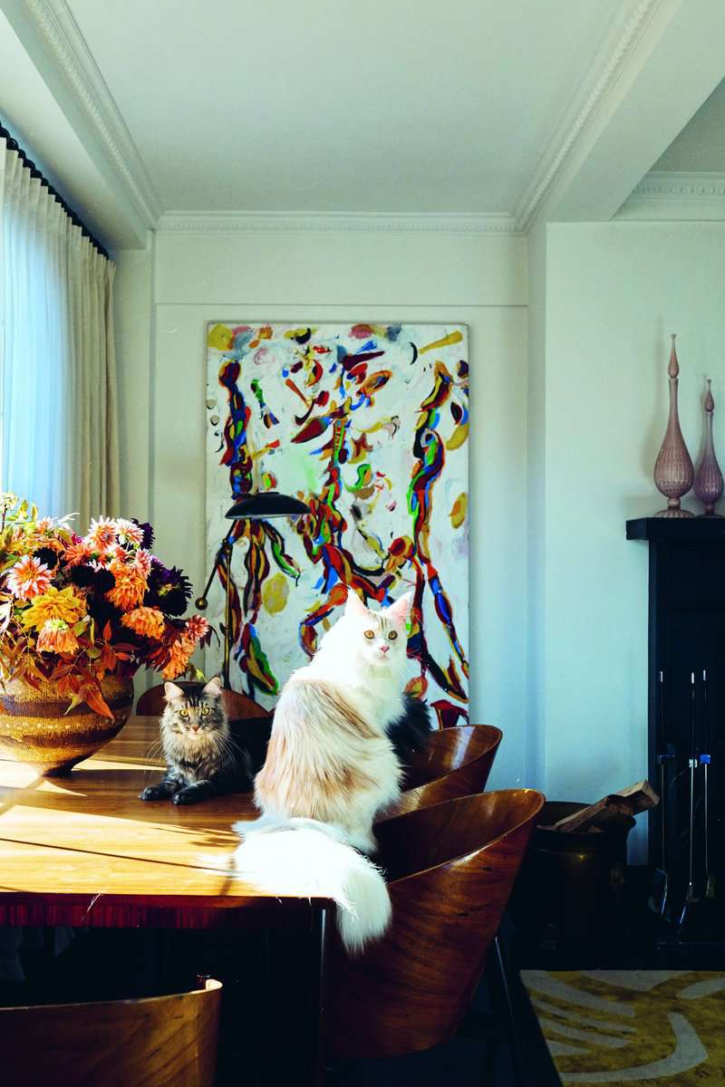 House Cats by Paul Barber internal 2