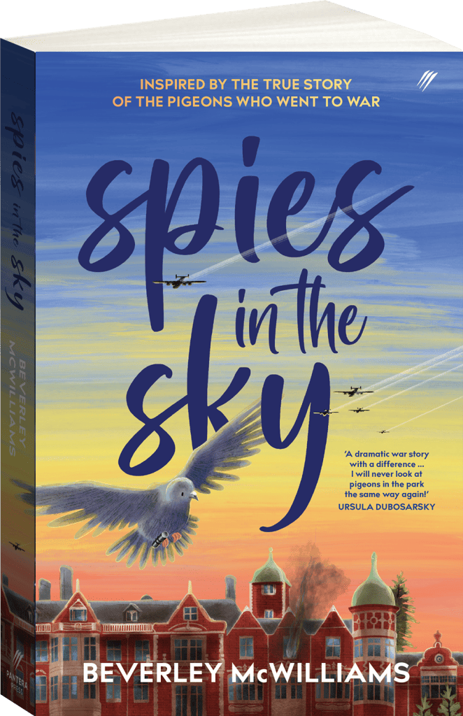 Spies in the Sky by Beverley mcWilliams
