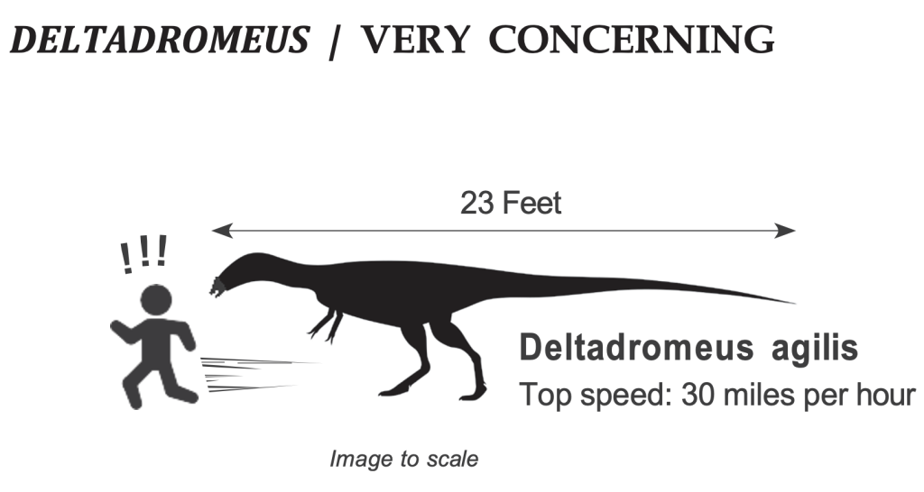 Internal 3 How to Survive