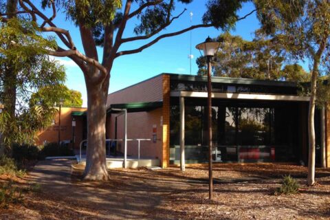 What are the librarians at The City of Marion reading?