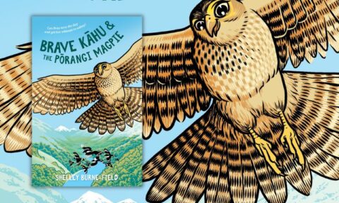 Shelley Burne-Field on Brave Kahu and the Porangi Magpie
