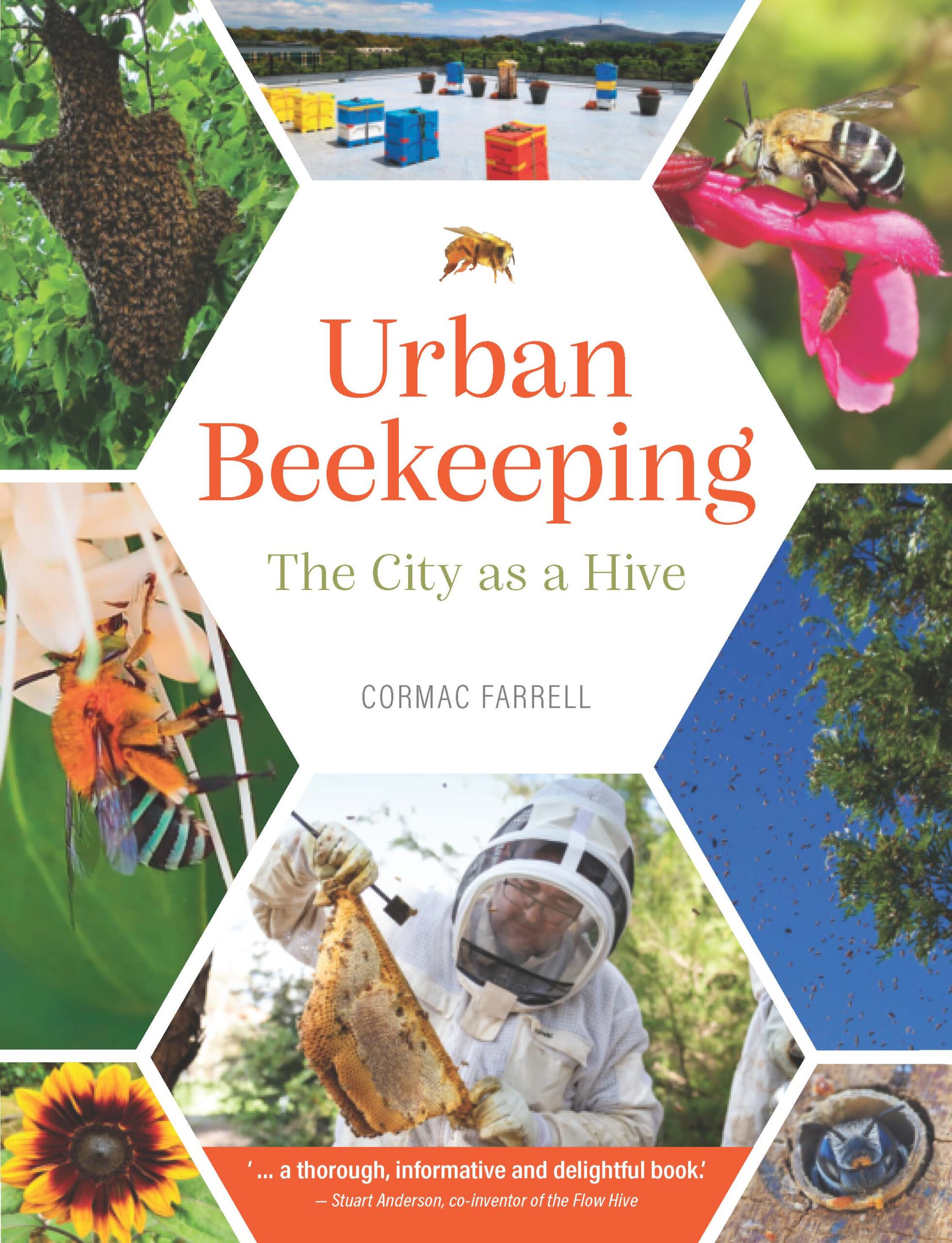 Urban Beekeeping with Cormac Farrell