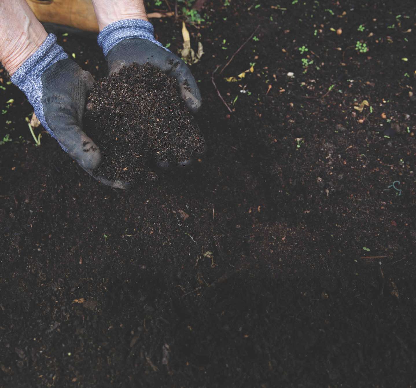 Image 1 from How to Do it in the GArden