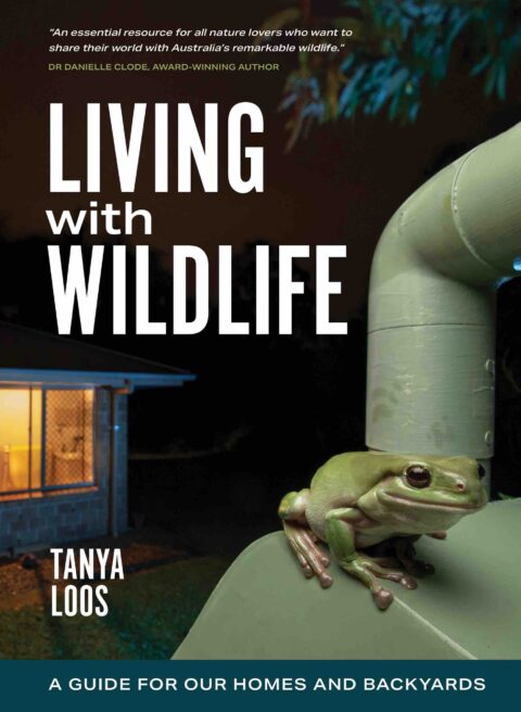 There’s a spider in the house! – Living with Wildlife with Tanya Loos