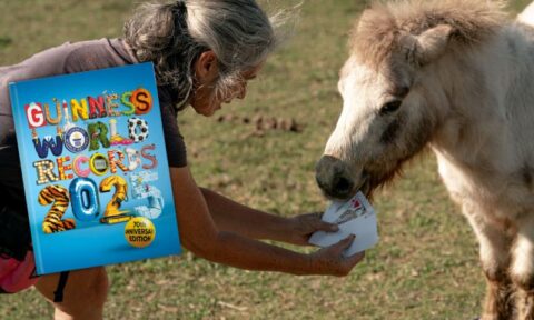 Guinness World Records 2025