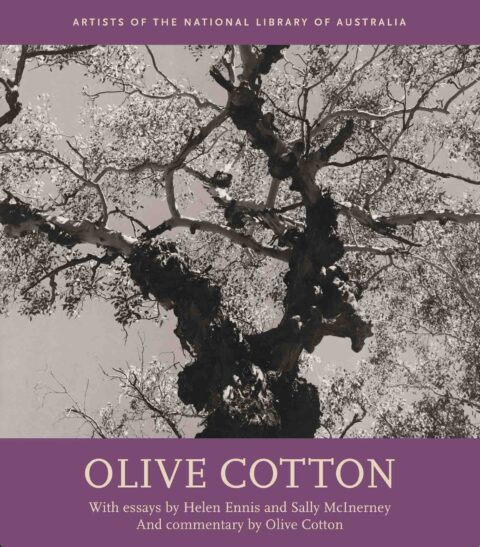 Light & Shadow – Olive Cotton