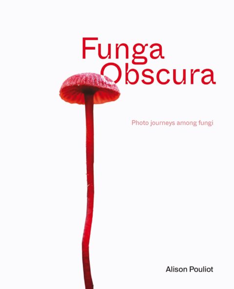 Alison Pouliot’s Fungi Obscura