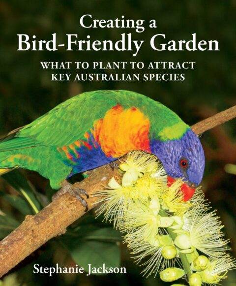 Creating a Bird Friendly Garden with Stephanie Jackson