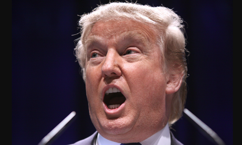 A collective of American authors – led by Pulitzer Prize-winning novelist Jennifer Egan – sue Trump