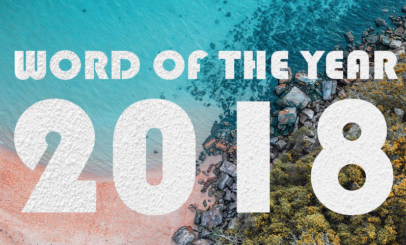 Deepfakes, Dark kitchens, and Big Dick Energy: Macquarie Dictionary announces Word of the Year