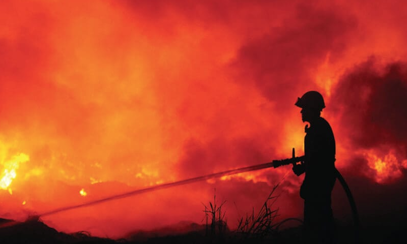 Chloe Hooper’s investigation into arson and the Black Saturday bushfires