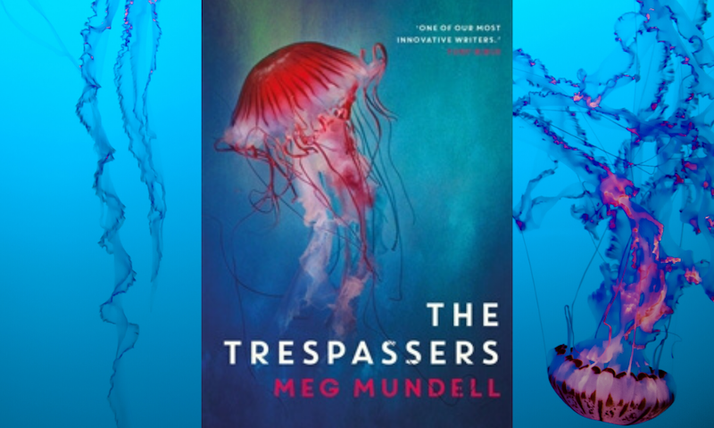 The Trespassers makes UN reading list for sustainability focus