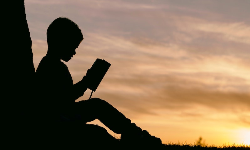 Online surge of support for bullied book lover