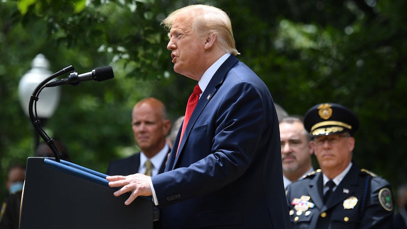 Mary Trump to release incendiary memoir