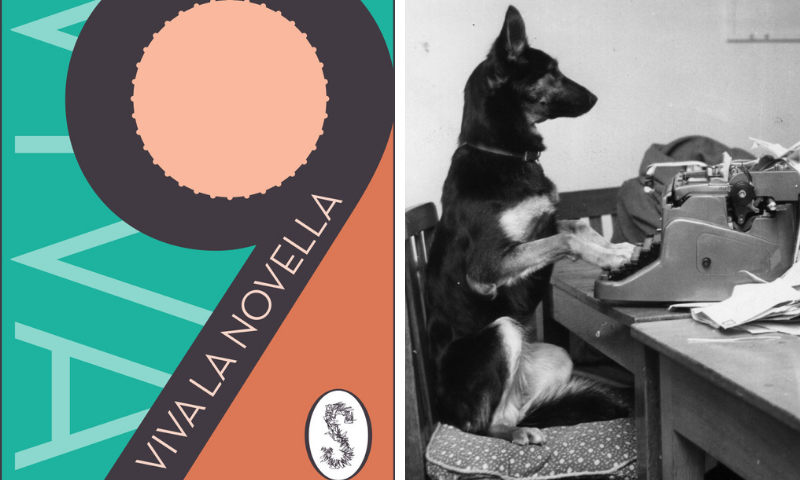 Entries for Viva La Novella 2021 are now open