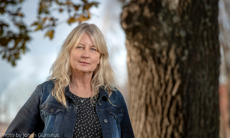 New Dragon Tattoo Trilogy in the works