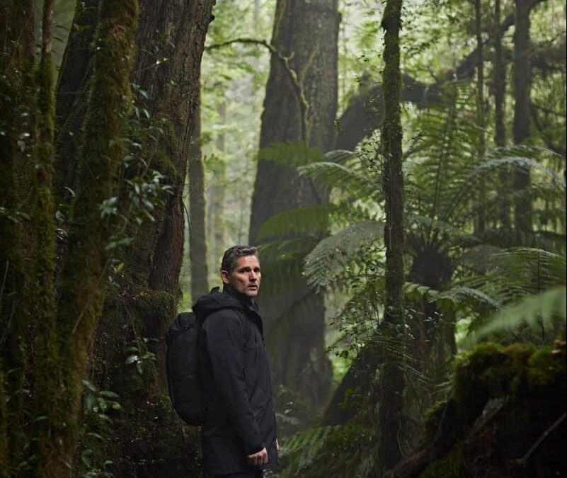 ‘Force of Nature: The Dry 2’ is coming soon