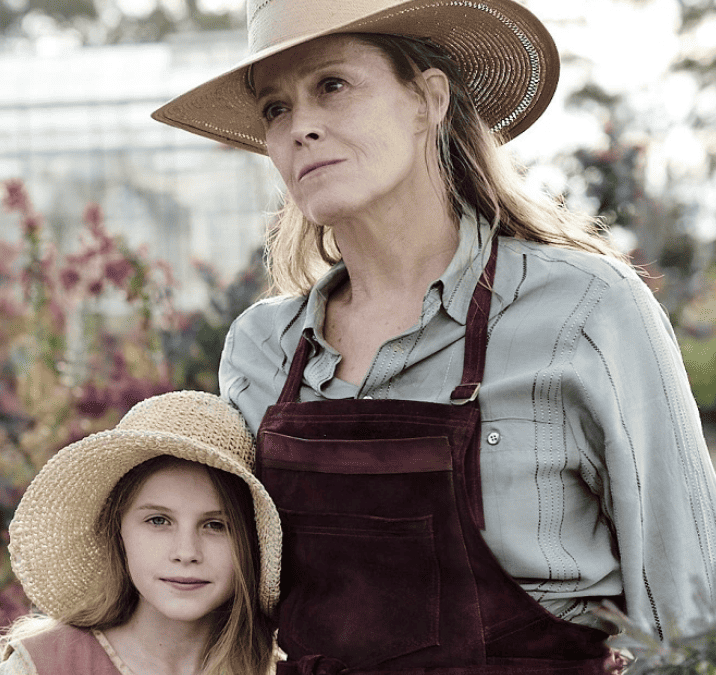 ‘The Lost Flowers of Alice Hart’ TV series