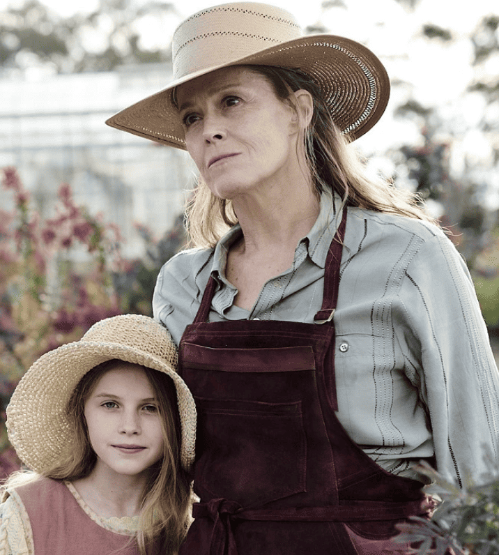 Screenshot-2023-06-14-at-3.28.37-pm