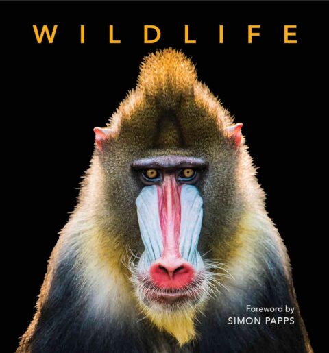 Capturing Wildlife – the deluxe edition