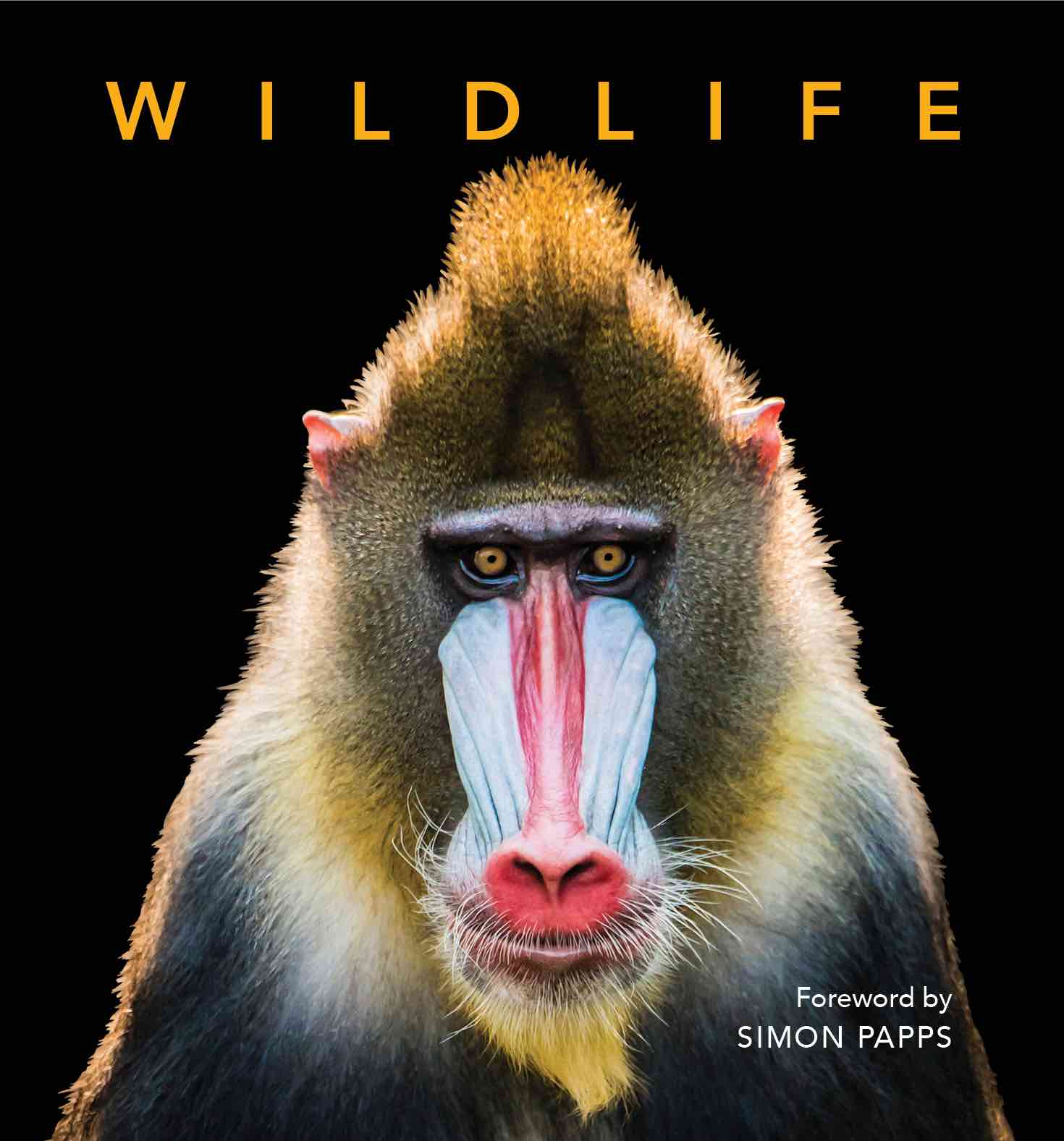 Capturing Wildlife – the deluxe edition