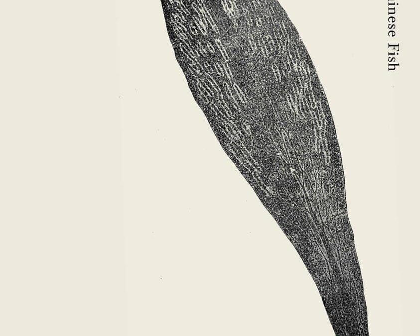 2024 Victorian Literary Award winners announced