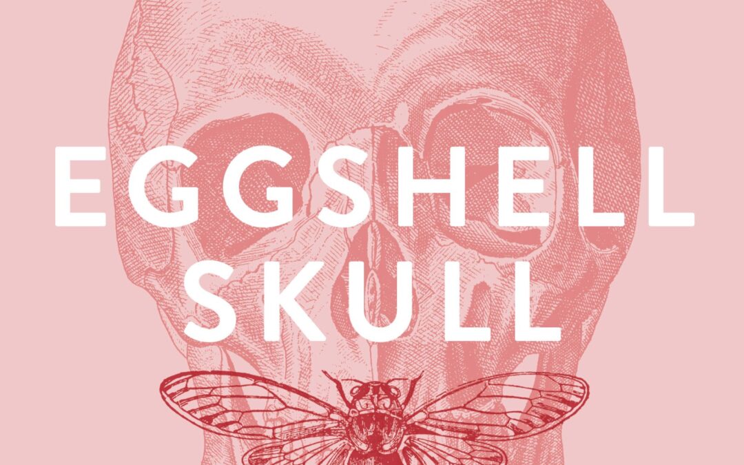 Bri Lee’s Eggshell Skull slated for film