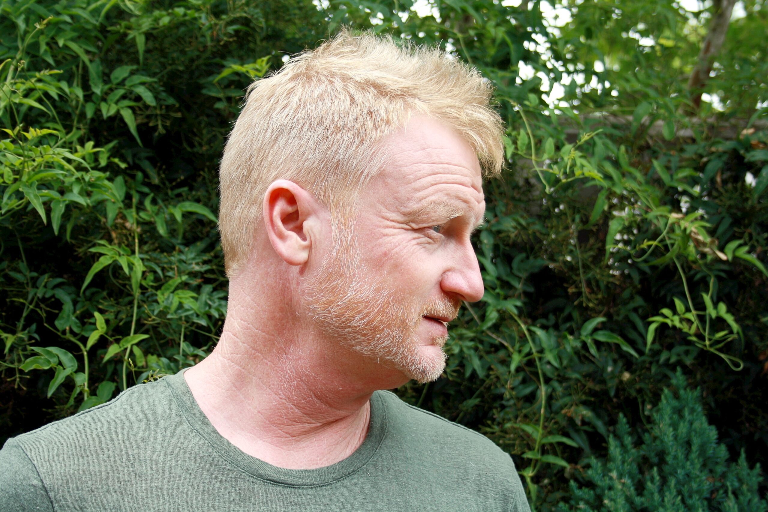 William Lane on ‘Saturation’ and libraries