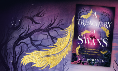 Sneak a peek at A Treachery of Swans by A B Poranek
