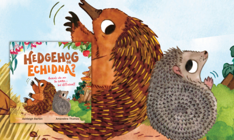 Catching up with Ashleigh Barton about Hedgehog or Echidna?