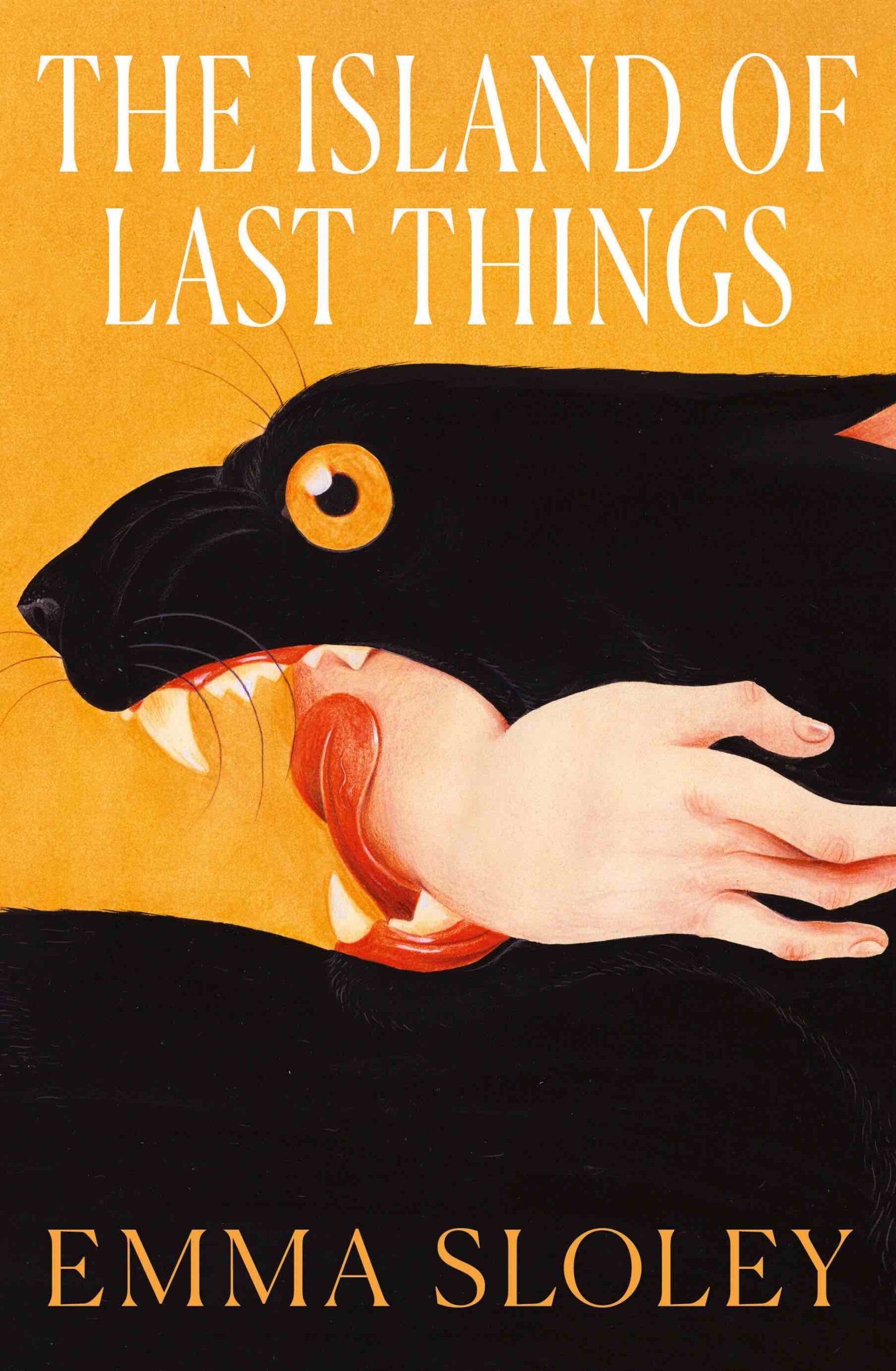 the-island-of-lost-things-emma-sloley-1 The island of lost things emma sloley 1