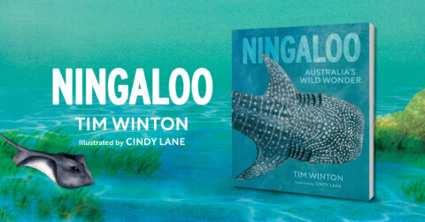 Tim Winton on his picture book Ningaloo