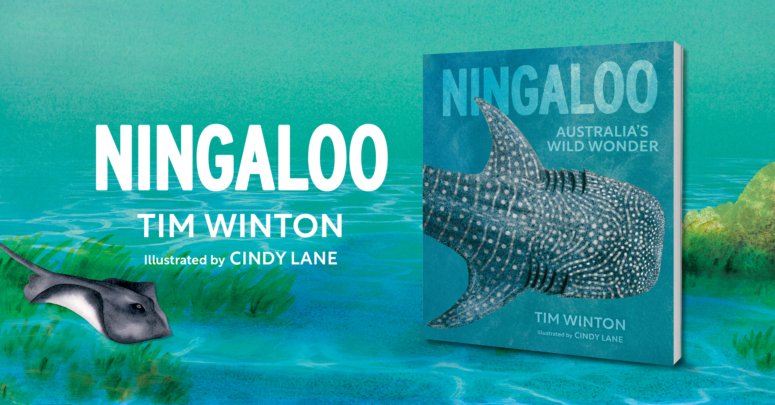 Tim Winton on his picture book Ningaloo