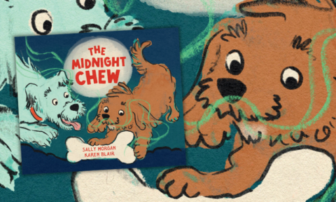 Sally Morgan chats about The Midnight Chew