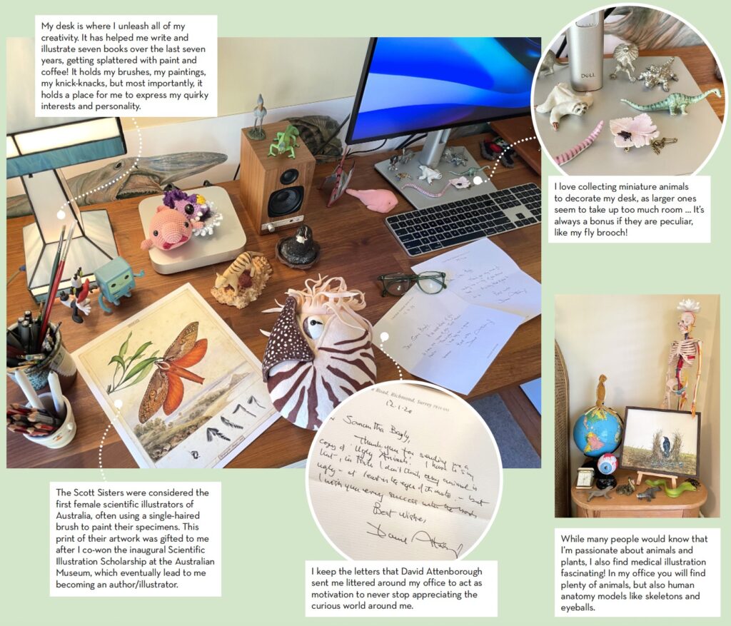 Sami Bayly workspace a writer an dillustrator