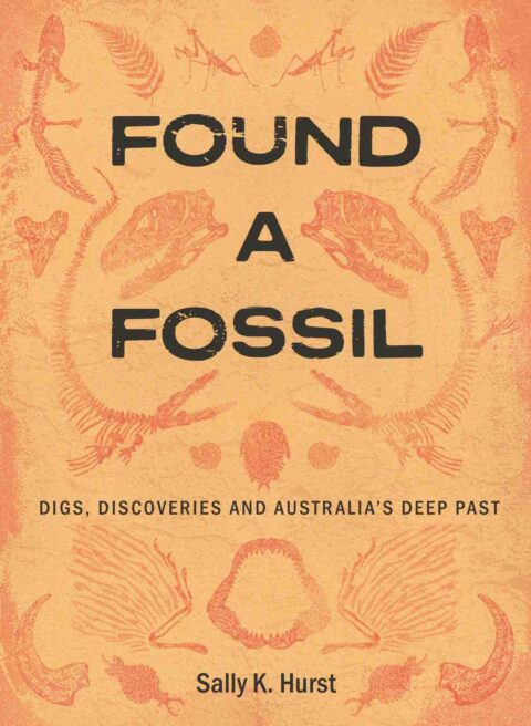 What would you do if you found a fossil? Read an extract.