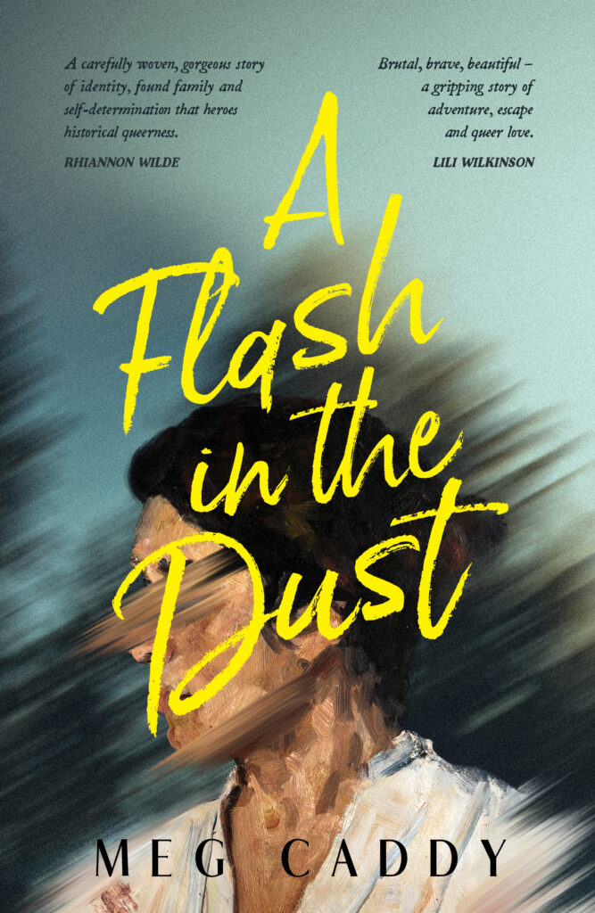 A_Flash_in_the_Dust_Meg_Caddy_Book_Cover.jpg