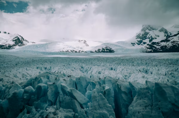 Adelie_penguins_version_3.jpg