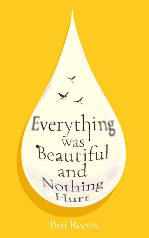 Sneak Peak: Read an extract from Everything was Beautiful and Nothing Hurt by Ben Reeves